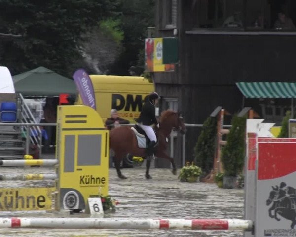 Schwerte - Gut Kückshausen 2014