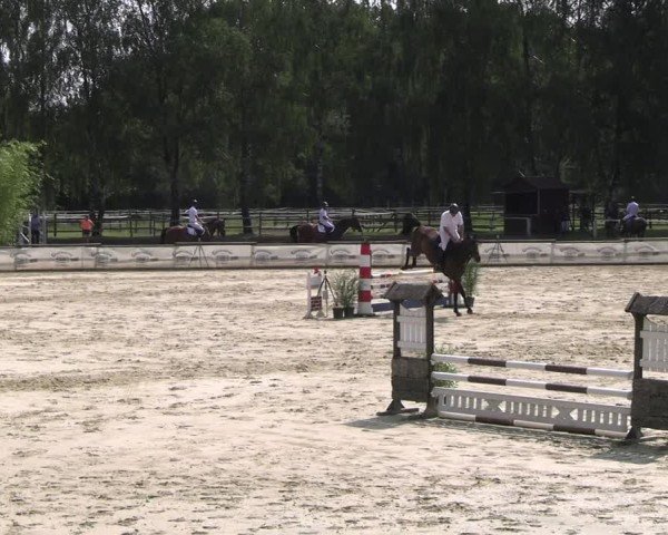 Reitturnier Vellinghausen 2025