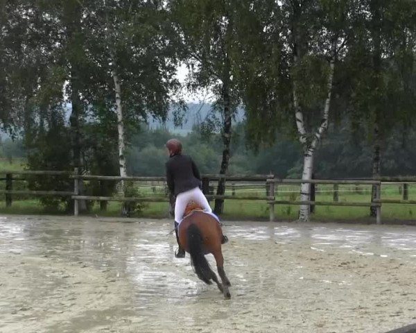 Schwerte - Gut Kückshausen 2014