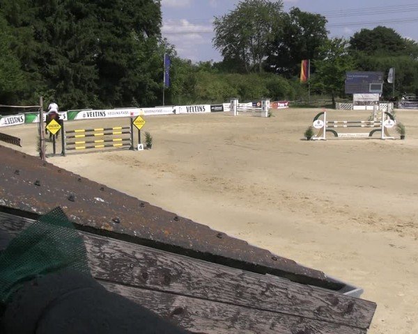 Reitturnier Vellinghausen 2025