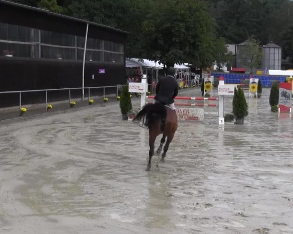 Schwerte - Gut Kückshausen 2014