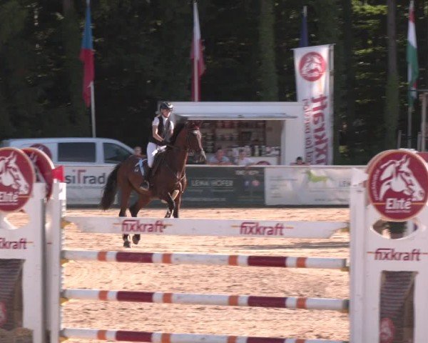 Reitturnier Ranshofen - Braunau am Inn 2025