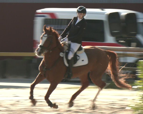 Reitturnier Marienheide-Kempershöhe 2025