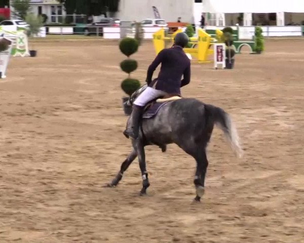 Rheinische Meisterschaften 2014