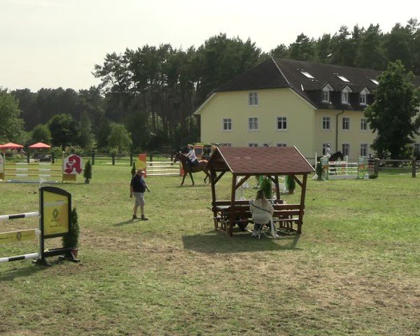 Reitturnier Niemegk / Neuendorf 2025