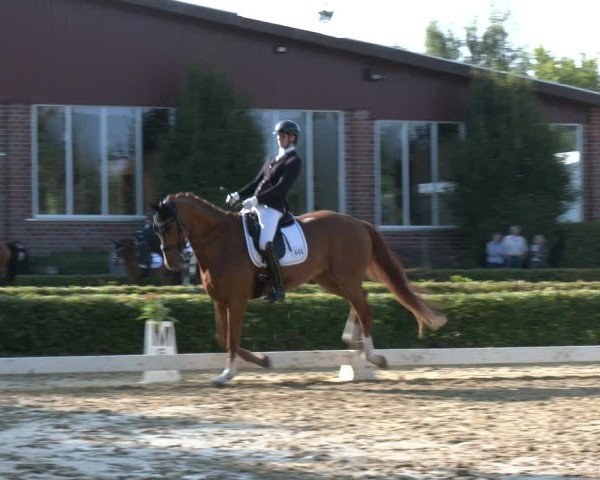 Reitturnier Seppenrade 2025