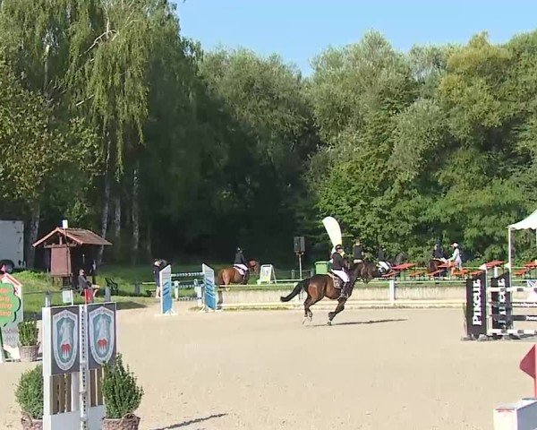 Reitturnier Grafenrheinfeld/Ufr. 2025