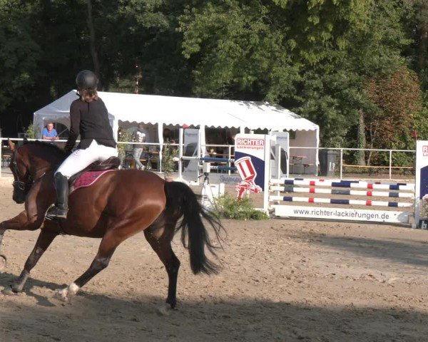 Reitturnier Velen 2025