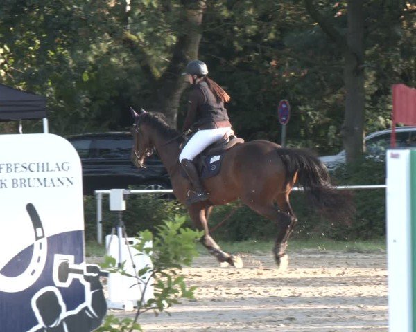 Reitturnier Velen 2025