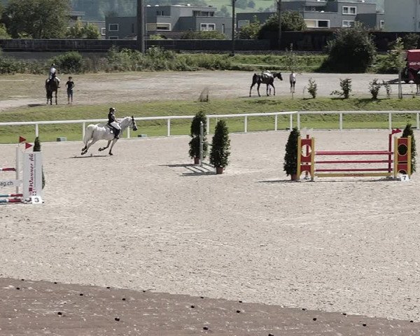 Pferdesporttage Bülach 2021