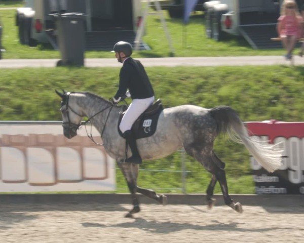 Reitturnier Heuchlingen 2025