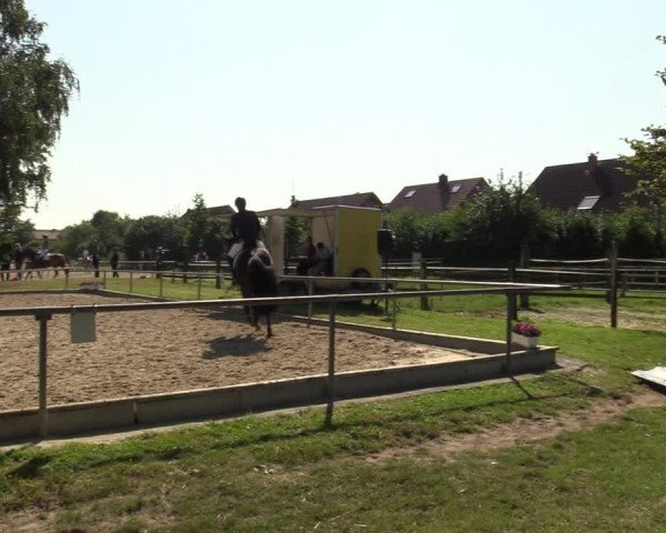 Reitturnier Ascheberg 2021