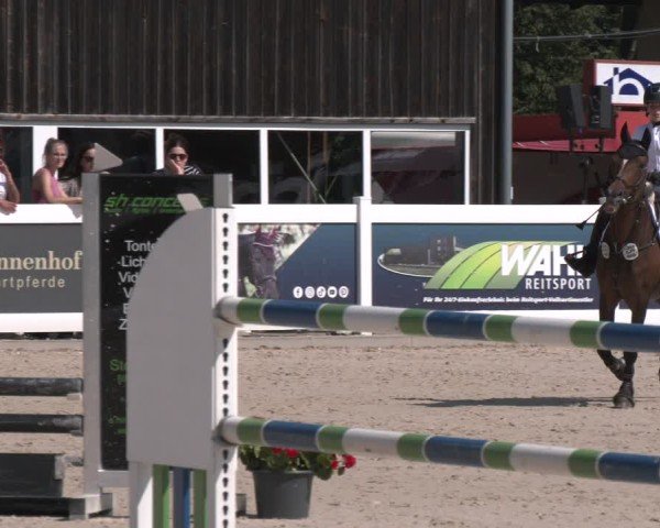 Equestrian Show Memmingen 2025