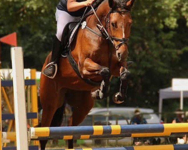 Katharina Rasper