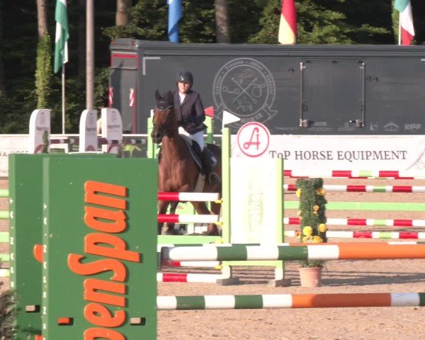 Reitturnier Ranshofen - Braunau am Inn 2025