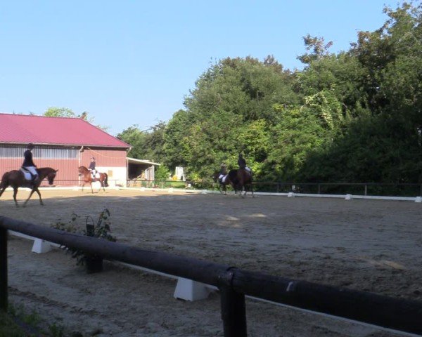 Reitturnier Marienheide-Kempershöhe 2025