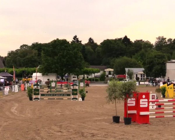 Rheinische Meisterschaften 2014