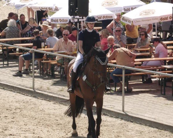 Reitturnier Heuchlingen 2025