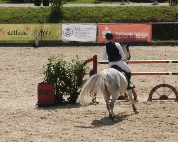 Reitturnier Heuchlingen 2025