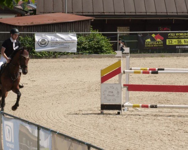 Reitturnier Heuchlingen 2025