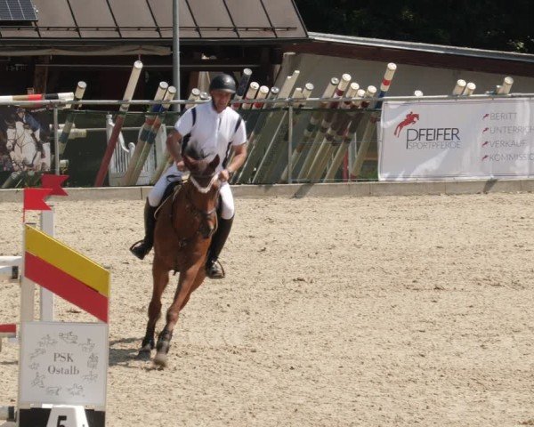 Reitturnier Heuchlingen 2025
