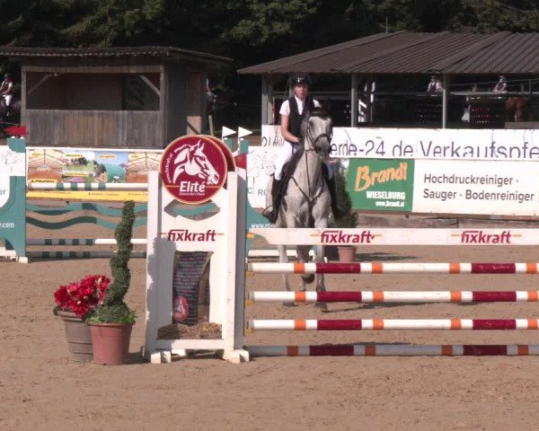 Reitturnier Ranshofen - Braunau am Inn 2025