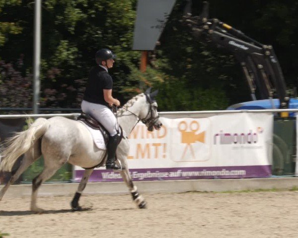 Reitturnier Heuchlingen 2025