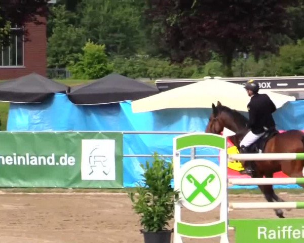 Rheinische Meisterschaften 2014