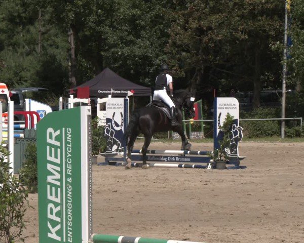 Reitturnier Velen 2025