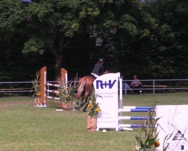 Reitturnier Woldegk 2025