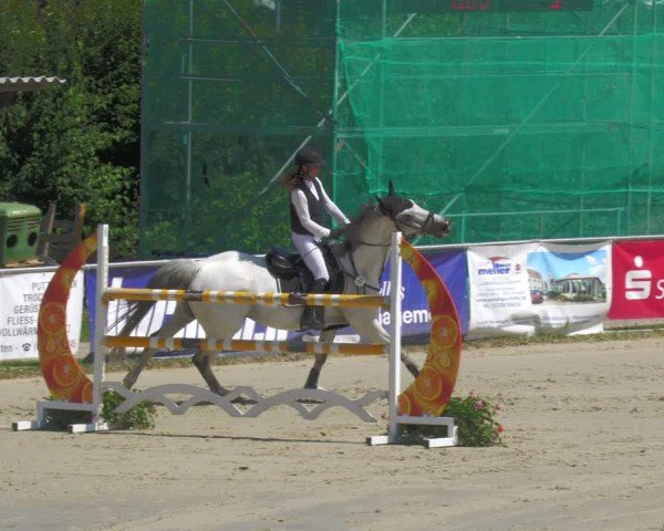 Reitturnier Oberderdingen 2025