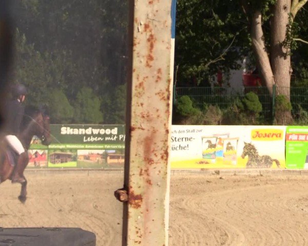 Reitturnier Behrendorf 2025