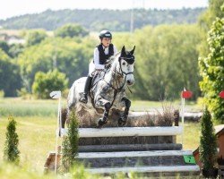 jumper Bailey's Daydream (Connemara Pony, 2016, from Doonhill Billy)