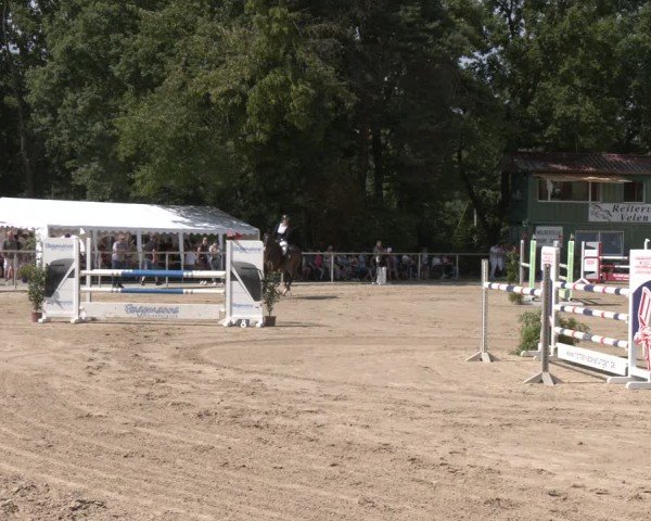 Reitturnier Velen 2025