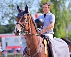 Cavallo da salto Crystal Blue ST (Oldenburger Cavallo da salto, 2017, di Chacoon Blue)