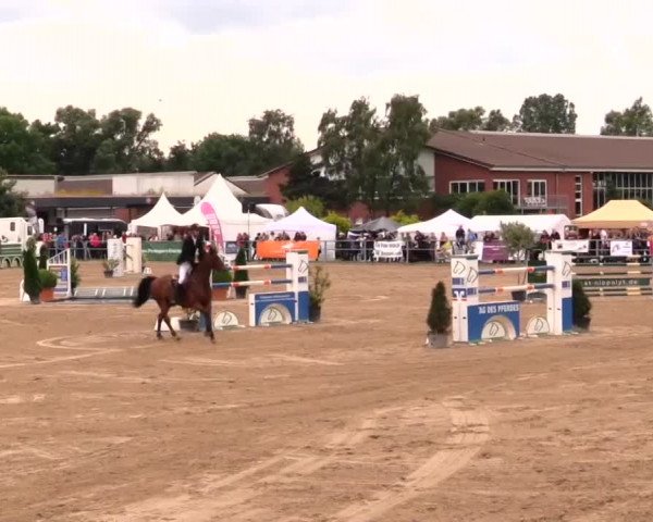 Rheinische Meisterschaften 2014