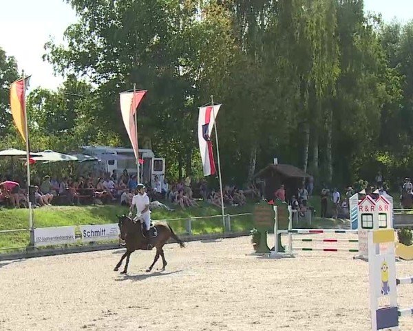 Reitturnier Grafenrheinfeld/Ufr. 2025