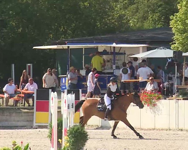Reitturnier Grafenrheinfeld/Ufr. 2025
