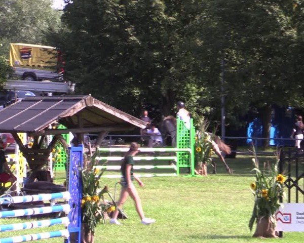 Reitturnier Woldegk 2025