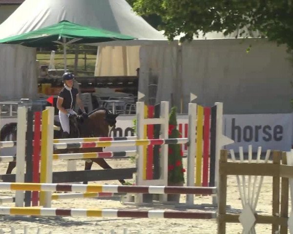 Reitertage Hagau 2014