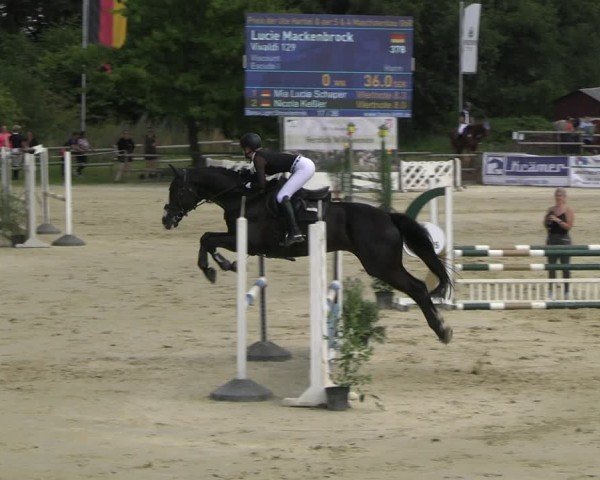 Reitturnier Vellinghausen 2025