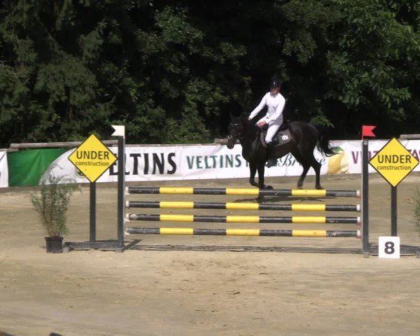 Reitturnier Vellinghausen 2025