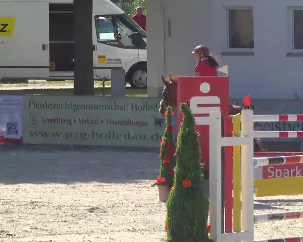 Reitertage Hagau 2014