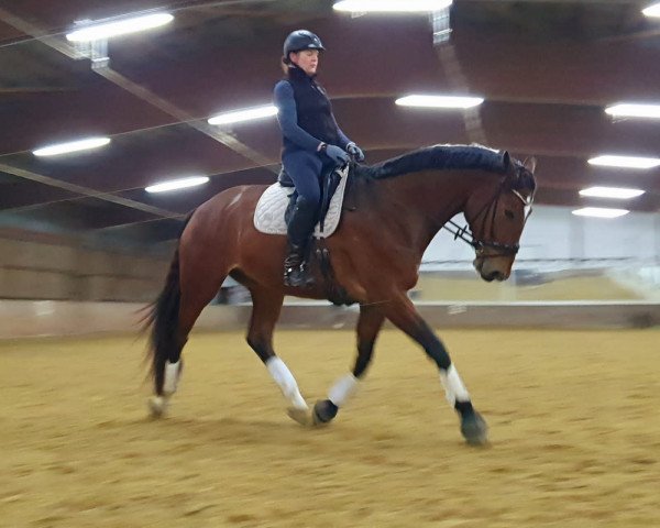 horse Easy Enzo (Westphalian, 2015, from Escolar)