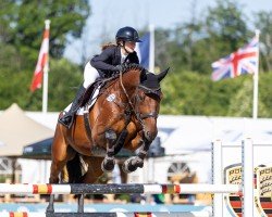jumper Nabucco Uno (Hanoverian, 2015, from Numero Uno)