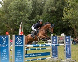 Cavallo da salto Colorelle K (Cavallo Sportivo Tedesco, 2018, di Colorit)