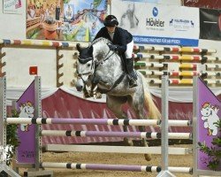 Yegua de cría Palina de Visto (Caballo de Deporte Alemán, 2015, de Levisto Z)