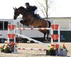 jumper Catch The Pigeon II (Irish Sport Horse, 2010, from Tinarana's Inspector)