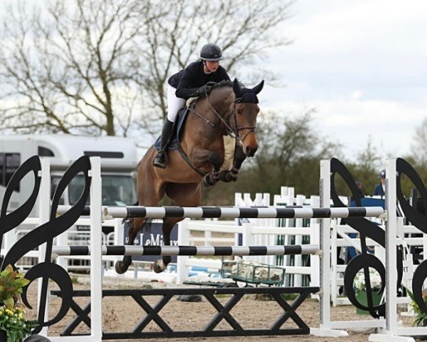broodmare Orya van Koekenhuyze (Belgian Warmblood, 2014, from Zazu)