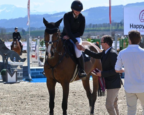 Jumper Vivaro Ps (Oldenburger Jumping Horse, 2016, from Vivant)